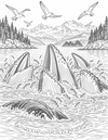 Inside Passage humpback whale coloring page preview
